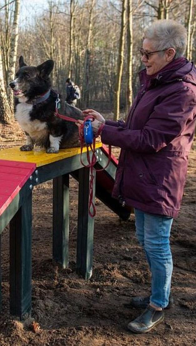 Psi Park na łódzkim Widzewie
