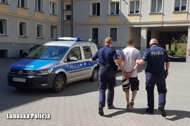 [VIDEO] Zlikwidowana plantacja konopi indyjskich - dzielnicowi z Kargowej skuteczni w zwalczaniu przestępczości narkotykowej